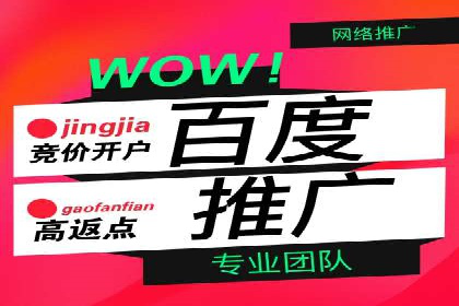 如何在sem竞价托管中取得卓越效果——案例解读